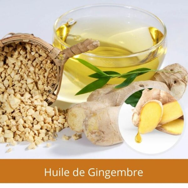 LegConfort Inspire de la Medecine Chinoise LegConfort Inspire de la Medecine Chinoise