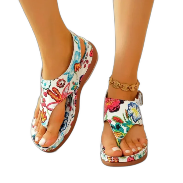 WellnessStep-Tong-orthopedique-coloree-1 WellnessStep-Tong-orthopedique-coloree-1